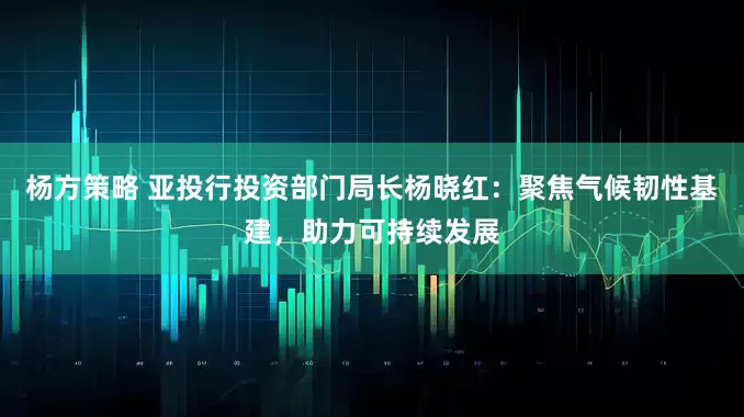 杨方策略 亚投行投资部门局长杨晓红：聚焦气候韧性基建，助力可持续发展