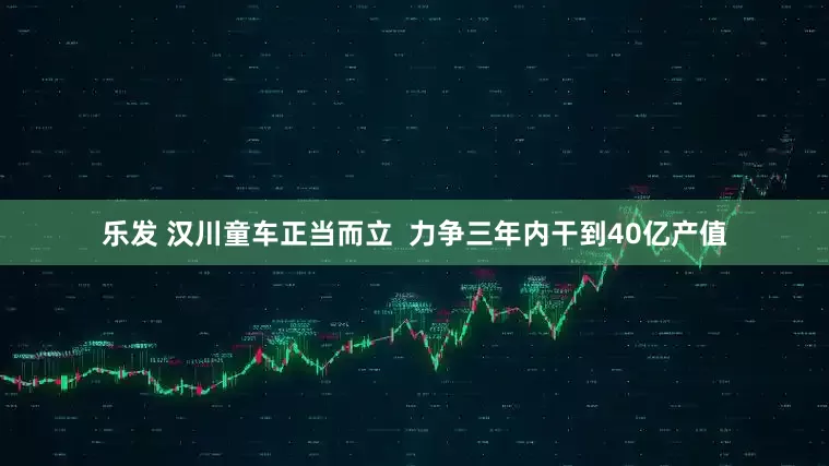 乐发 汉川童车正当而立  力争三年内干到40亿产值