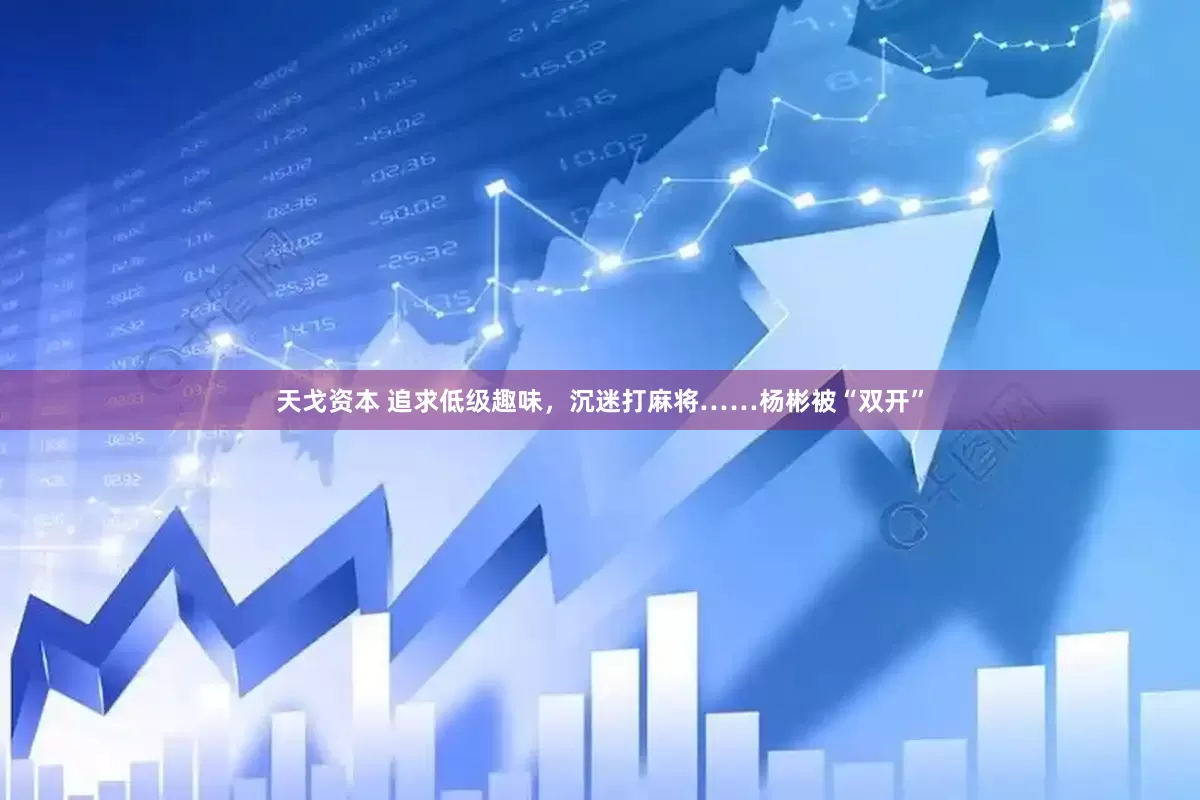 天戈资本 追求低级趣味，沉迷打麻将……杨彬被“双开”