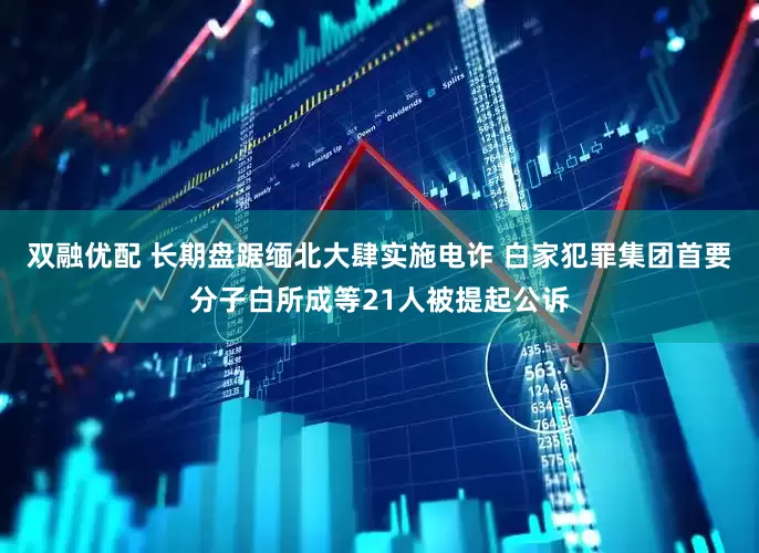 双融优配 长期盘踞缅北大肆实施电诈 白家犯罪集团首要分子白所成等21人被提起公诉