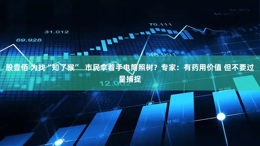 股壹佰 为找“知了猴”  市民拿着手电筒照树？专家：有药用价值 但不要过量捕捉