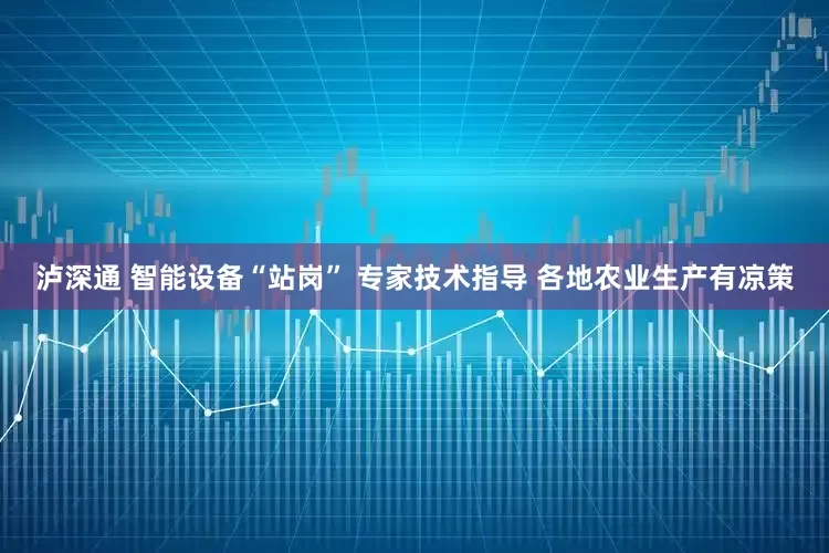 泸深通 智能设备“站岗” 专家技术指导 各地农业生产有凉策