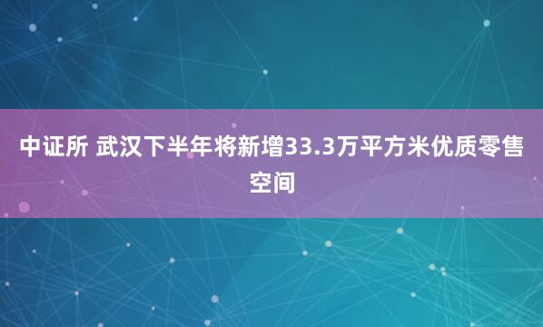 中证所 武汉下半年将新增33.3万平方米优质零售空间