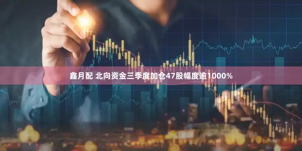 鑫月配 北向资金三季度加仓47股幅度逾1000%
