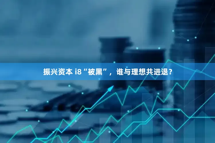 振兴资本 i8“被黑”，谁与理想共进退？
